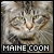  Maine Coon: 