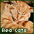  Red/Orange cats: 