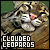  Clouded Leopard: 