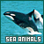  Sea Animals: 