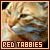  Red Tabby Cats: 