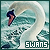  Swans: 