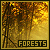  Forests: 