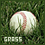  Grass: 