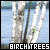  Birch Trees: 