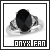  Onyx: 