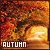  Autumn: 