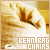  Bean Bag Chairs: 