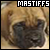  Mastiffs: 