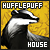  Harry Potter : Hufflepuff House: 