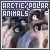  Arctic Animals: 