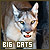  Big Cats: 