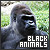  Black Animals: 