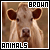  Brown Animals: 