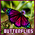  Butterflies: 