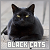  Black Cats: 