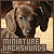  Miniature Dachshunds: 