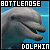  Bottlenose Dolphins: 