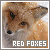  Red Fox: 