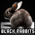  Black Bunnies: 