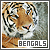  Bengal Tigers: 