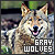  Grey Wolves: 