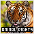  Animal Rights Movement: 