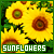  Sunflowers: 