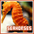  Seahorse: 