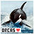  Orca: 