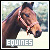  Equines: 