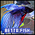  Betta Fish: 