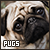  Pugs: 