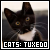  Tuxedo Cats: 