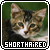  Short Haired Cats: 