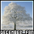  December: 