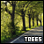  Trees: 