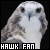  Hawks: 