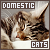  Domestic Cats: 