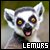  Lemurs: 