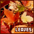  Leaves: 