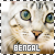  Bengal cats: 