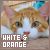  White and Orange Cats: 