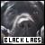  Black Labradors: 