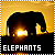  Elephants: 
