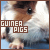  Guinea Pigs: 