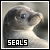  Seals: 