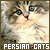  Persian Cats: 
