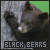  Black Bears: 