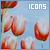  Icons: 